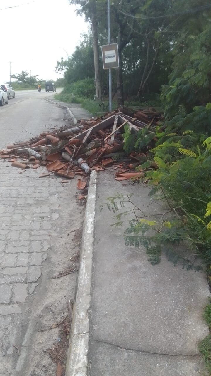 Ayuntamiento aísla zona tras caída de árbol en parada de autobús en Baía Formosa