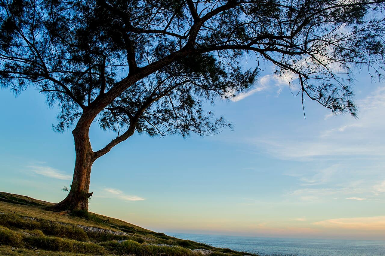 Regional Tourism Festival brings together 13 municipalities on the Costa do Sol in Saquarema