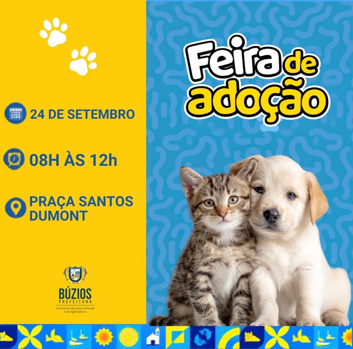 Feira de Adoção de animais acontece nesta quinta na Praça Santos Dumont, em Búzios